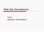Web Site Development
