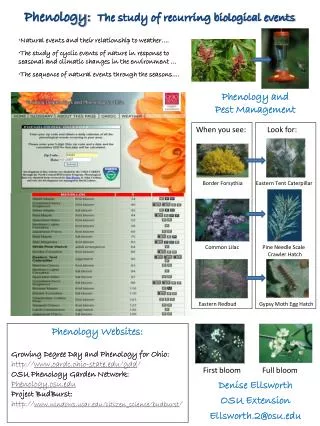 Phenology : The study of recurring biological events