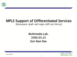 MPLS Support of Differentiated Services (Document: draft-ietf-mpls-diff-ext-04.txt)