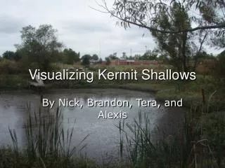 Visualizing Kermit Shallows