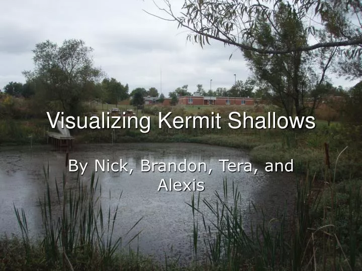 visualizing kermit shallows