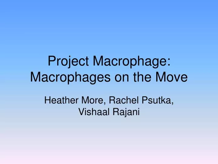 project macrophage macrophages on the move