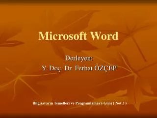 microsoft word