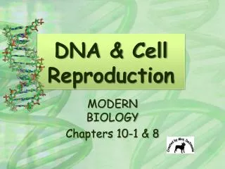 DNA &amp; Cell Reproduction