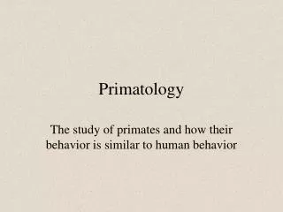 Primatology