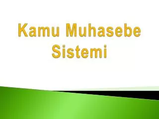 kamu muhasebe sistemi