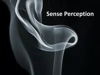 Sense Perception
