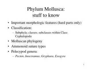 Phylum Mollusca: stuff to know