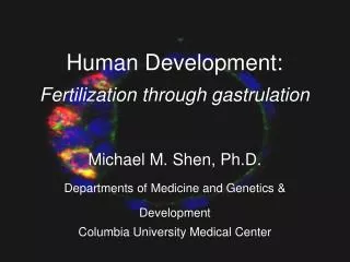 Human Development: Fertilization through gastrulation