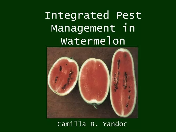 integrated pest management in watermelon