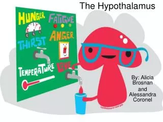 The Hypothalamus