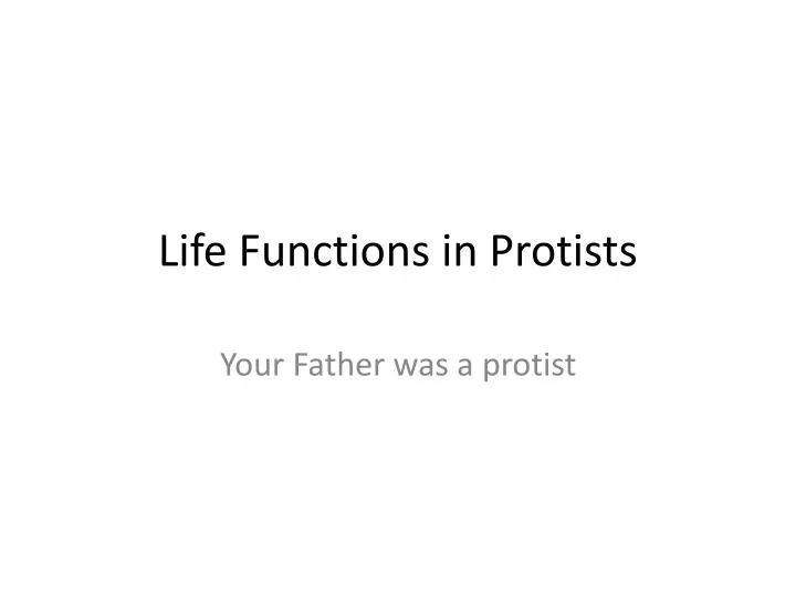 life functions in protists