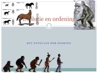 evolutie en ordening