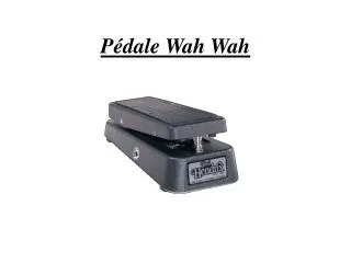 p dale wah wah