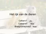 Het rijk van de dieren - slide 1