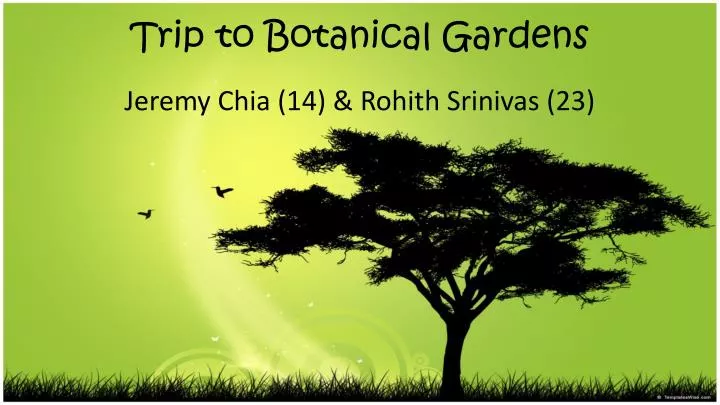 trip to botanical gardens
