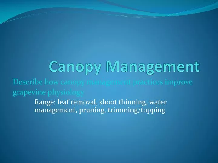 canopy management