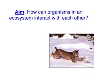 Aim : How can organisms in an ecosystem interact with each other?