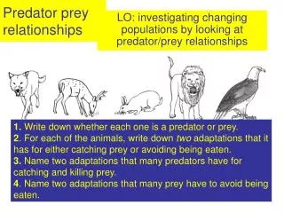 Predator prey relationships