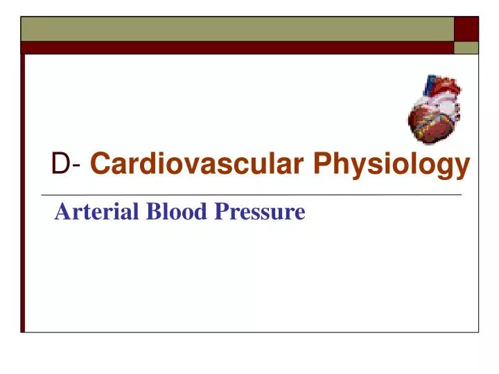 d cardiovascular physiology