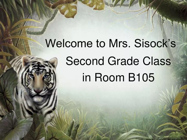 welcome to mrs sisock s