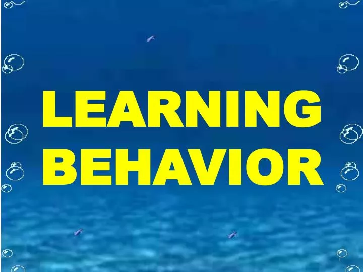 learning behavior