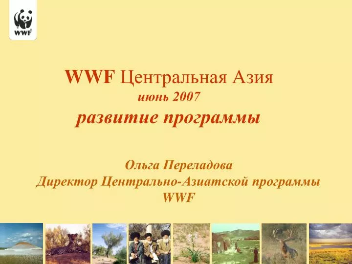 wwf 2007