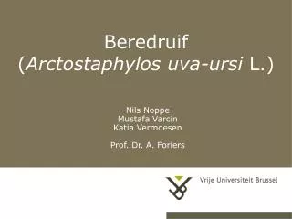beredruif arctostaphylos uva ursi l