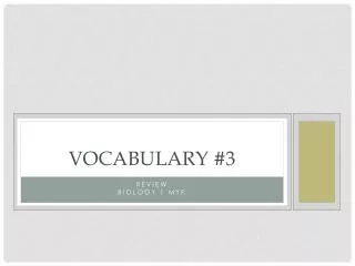 Vocabulary #3