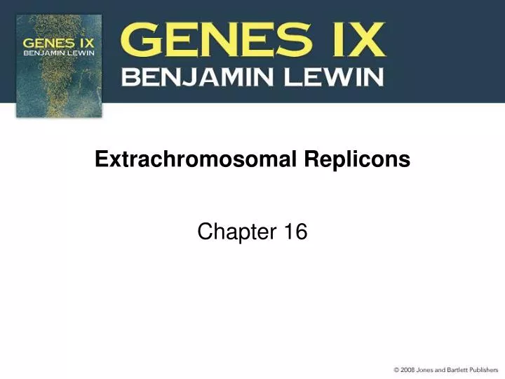 extrachromosomal replicons