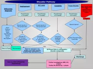 Shoulder Pathway