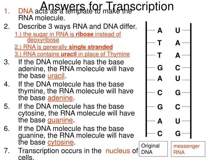 answers for transcription