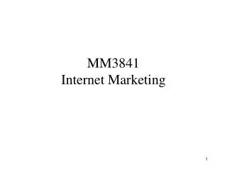 MM3841 Internet Marketing