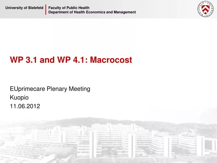 wp 3 1 and wp 4 1 macrocost