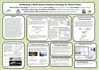 Developing a Multi-species Anatomy Ontology for Teleost Fishes