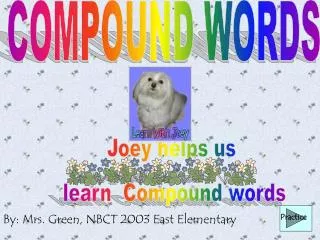 Joey helps us learn Compound words