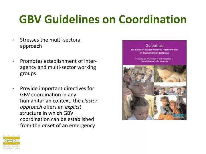 gbv guidelines on coordination