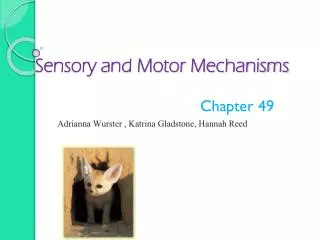 Sensory and Motor Mechanisms