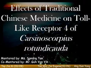 Effects of Traditional Chinese Medicine on Toll-Like Receptor 4 of Carsinoscorpius rotundicauda
