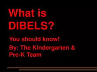 What is DIBELS?