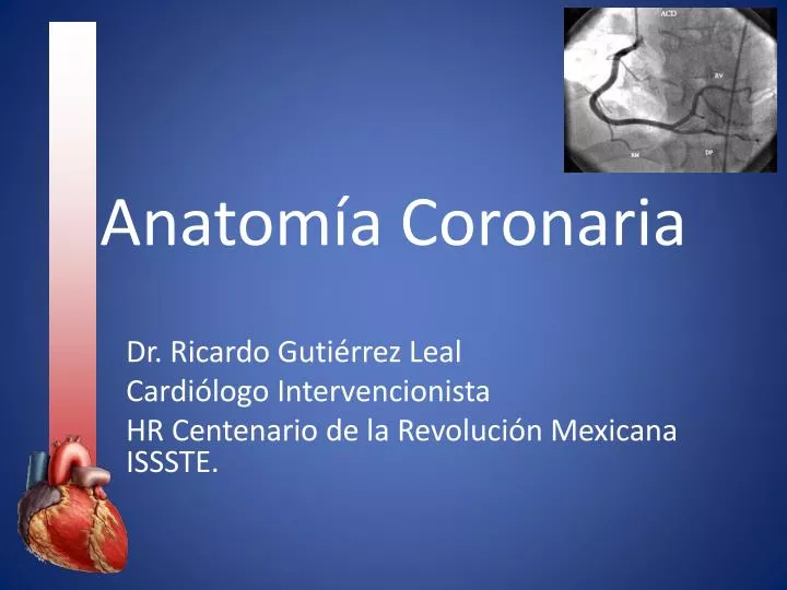 anatom a coronaria