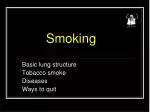 Understanding the Dangers of Smoking: Lung Structure, Health Risks, and Ways to Quit - slide 1