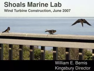 Shoals Marine Lab Wind Turbine Construction, June 2007