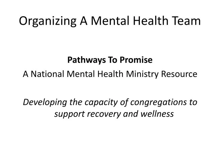 organizing a mental health team
