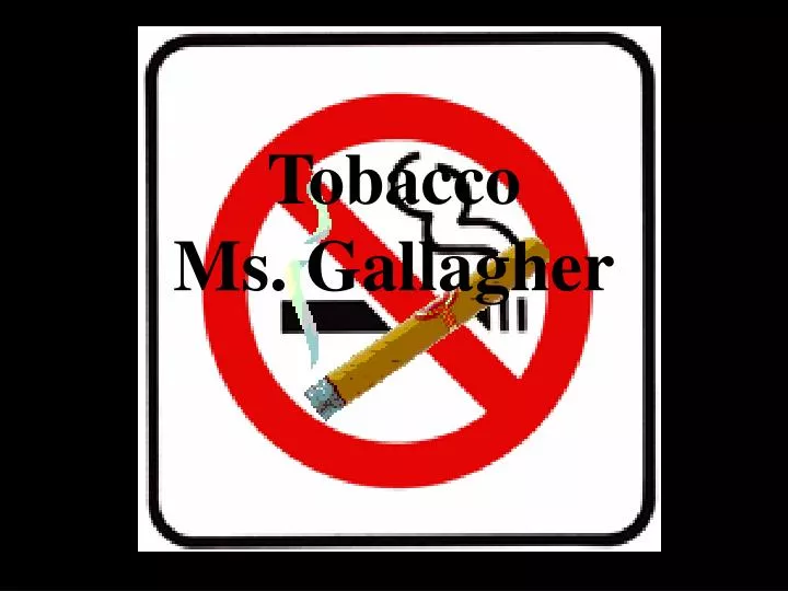 tobacco ms gallagher