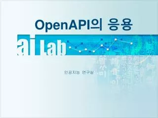 OpenAPI 의 응용