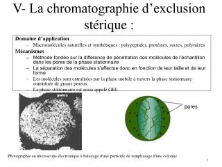 v la chromatographie d exclusion st rique
