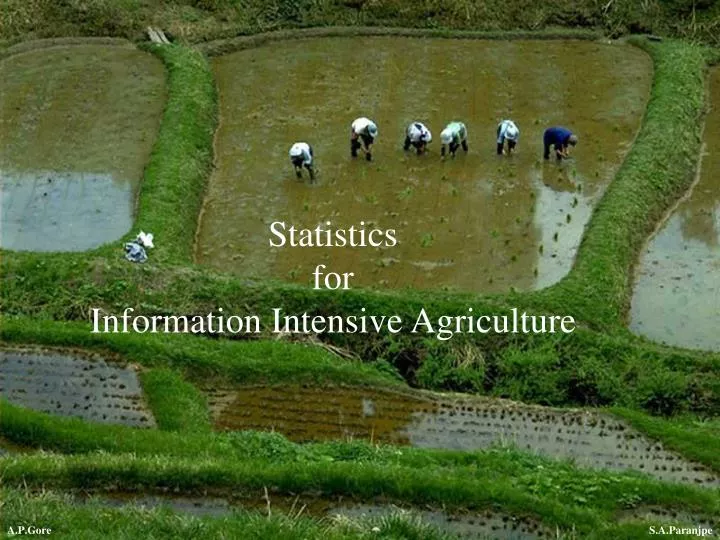 statistics for information intensive agriculture