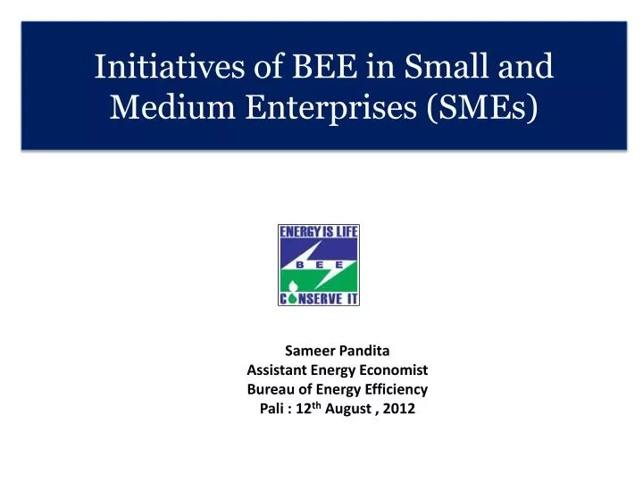 initiatives of bee in small and medium enterprises smes