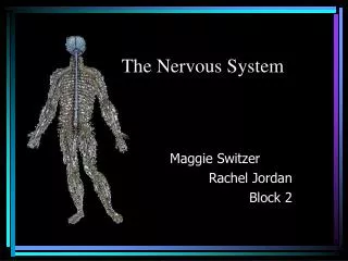 The Nervous System